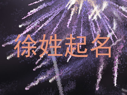 徐姓起名