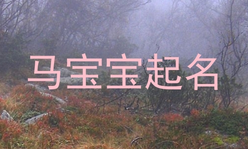 马宝宝起名