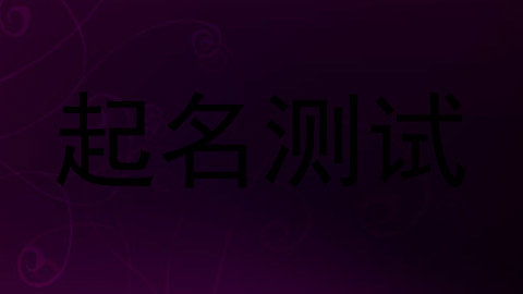 起名测试