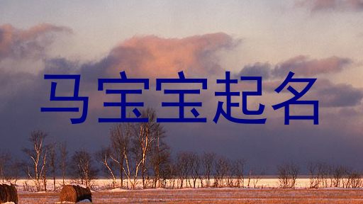 马宝宝