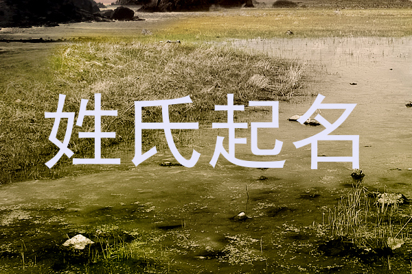 梁姓女孩名字