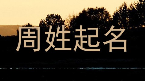周姓起名
