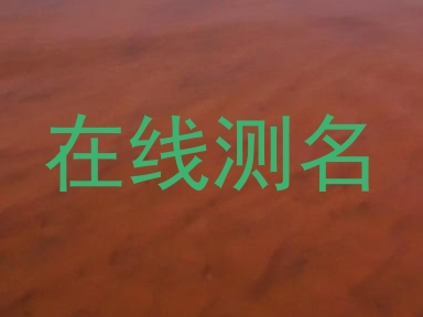 在线测名