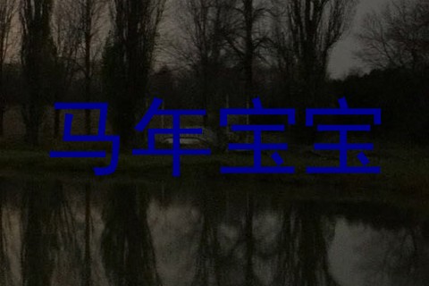马年宝宝