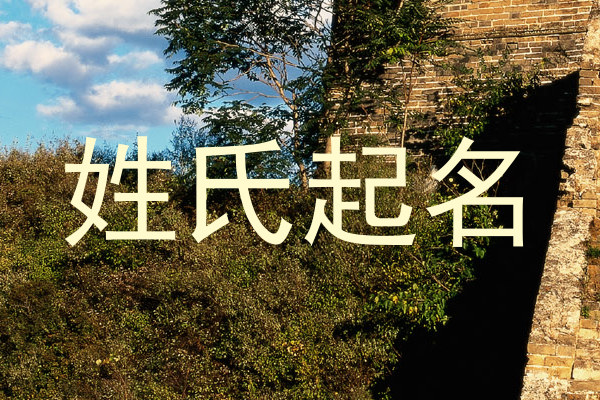 姓氏起名