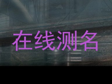 在线测名