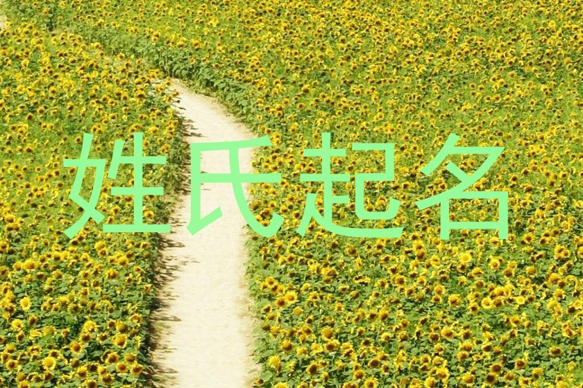 姓氏起名