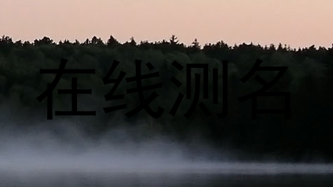 在线测名