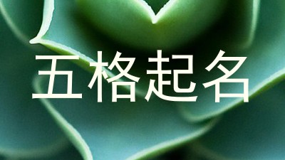五格起名