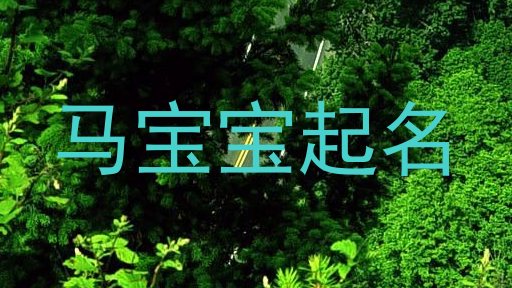 马宝宝起名