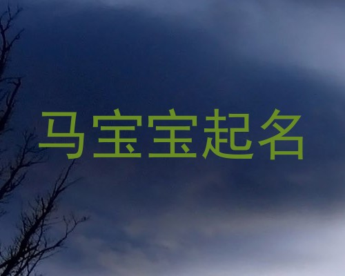 马宝宝起名