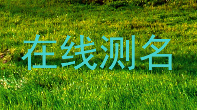 在线测名