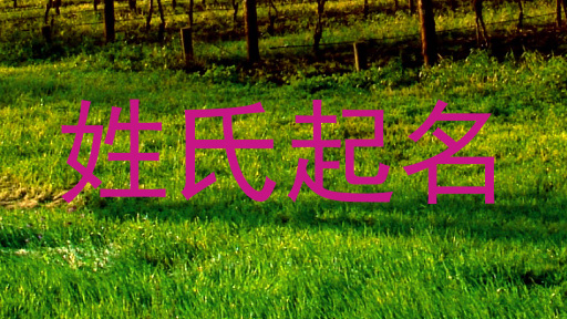 姓氏起名