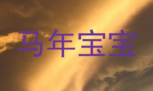 马年宝宝