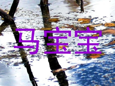 马宝宝