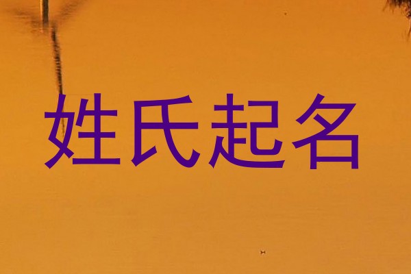 姓氏起名