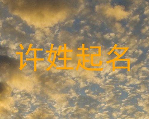 许姓起名