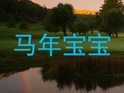 马年宝宝