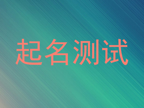 起名测试