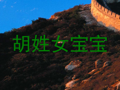 胡姓女宝宝