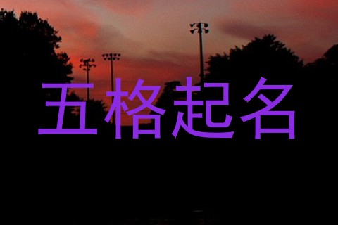 五格起名