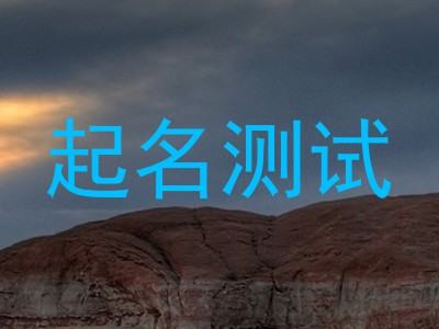 起名测试