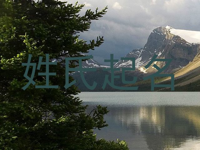 姓氏起名
