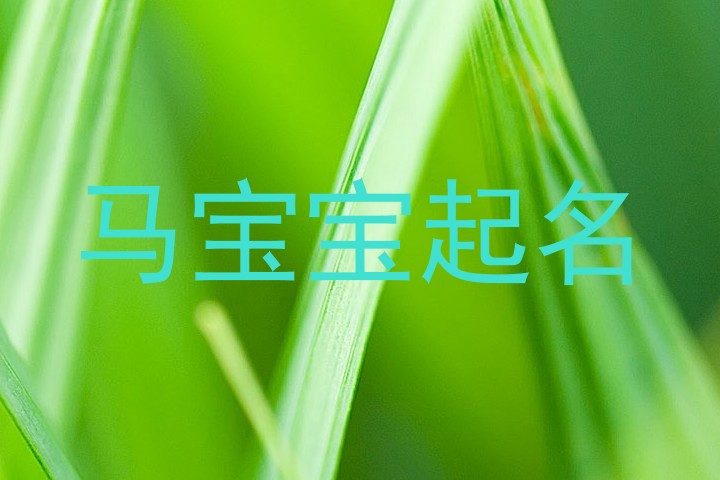 马宝宝起名