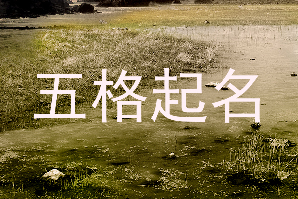 五格起名