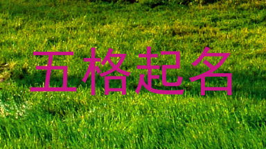 五格起名