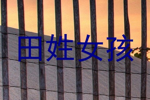 田姓女孩