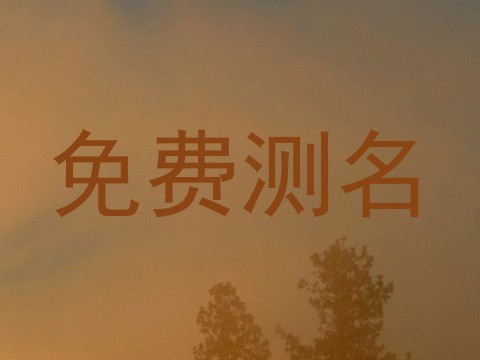 免费测名