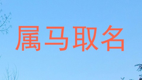 属马取名