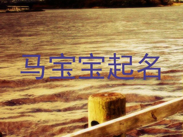 马宝宝起名