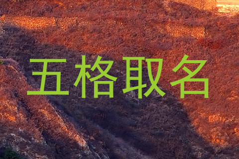五格取名