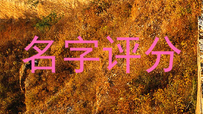 名字评分
