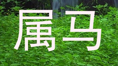 属马