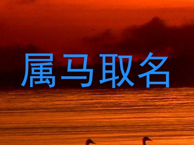 属马取名