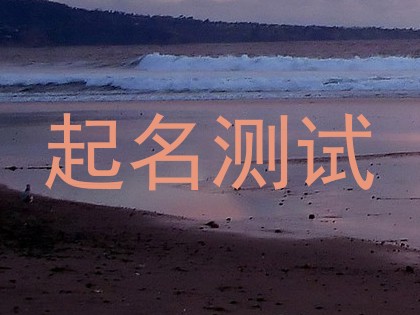 起名测试