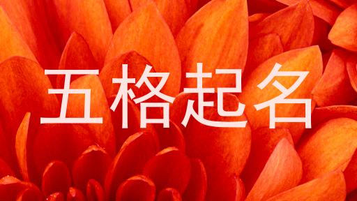 五格起名