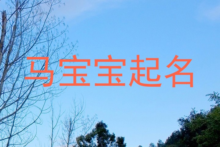 马宝宝起名