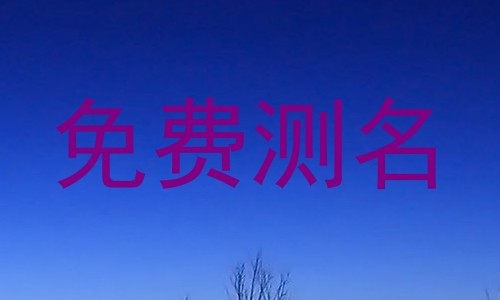 免费测名