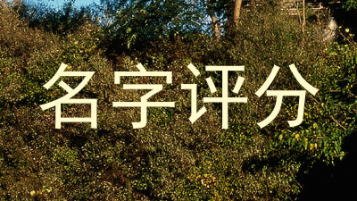 名字评分