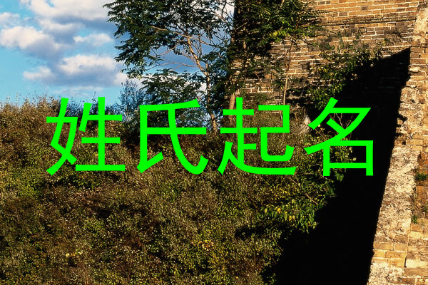 姓氏起名
