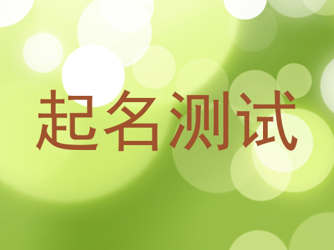 起名测试