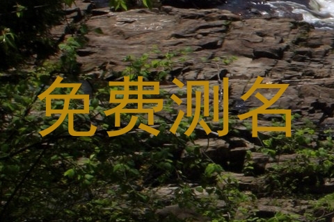 免费测名