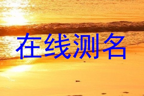 在线测名