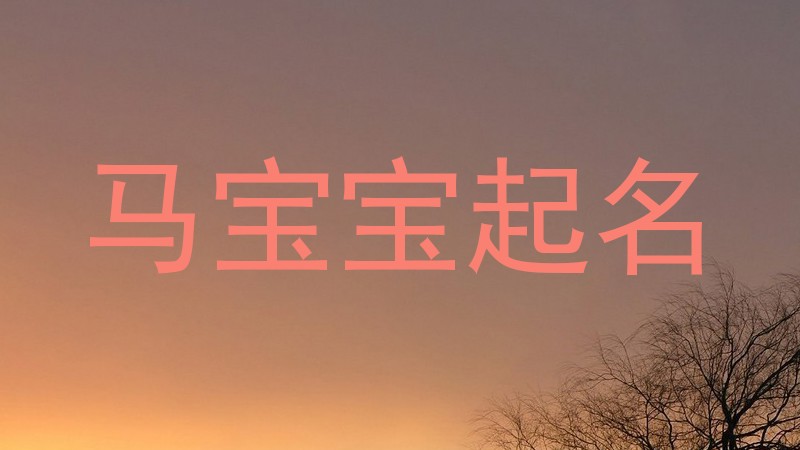 马宝宝起名
