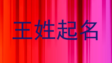 王姓起名