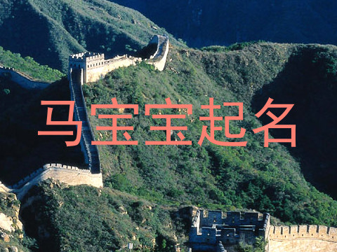 马宝宝起名